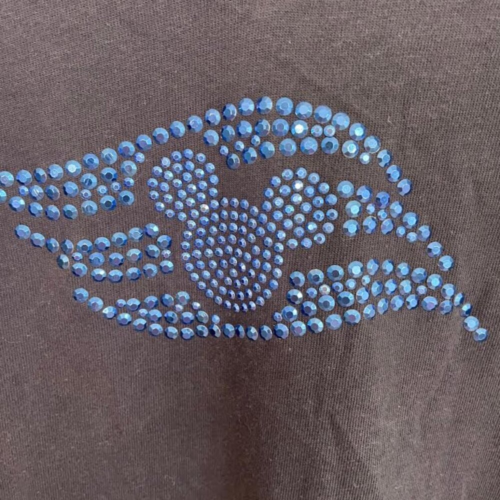 Disney Cruise Line Rhinestone Logo
